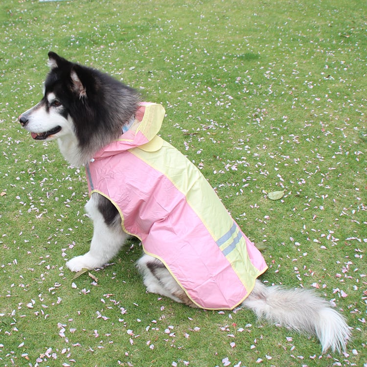 🐕 CHUBAQUERO REFLECTANTE TODOTERRENO STORMGUARD™ 🐕