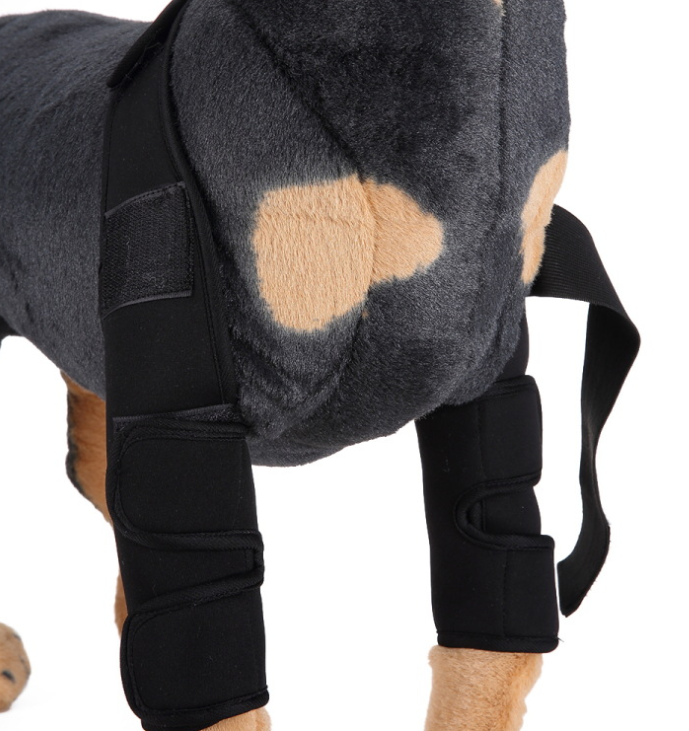 Soporte Ortopédico de Neopreno CarePaws™ Para Perros Rodillera y Codera Protectora