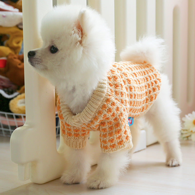 🐾 SUÉTER DE INVIERNO DIBI BEAR™ 🐾Para Perros Mascotas