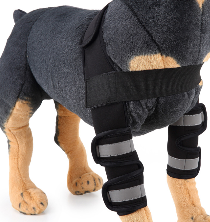 Soporte Ortopédico de Neopreno CarePaws™ Para Perros Rodillera y Codera Protectora