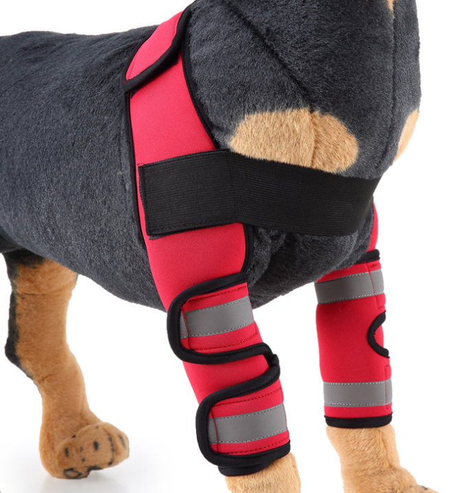 Soporte Ortopédico de Neopreno CarePaws™ Para Perros Rodillera y Codera Protectora