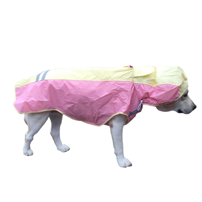 🐕 CHUBAQUERO REFLECTANTE TODOTERRENO STORMGUARD™ 🐕