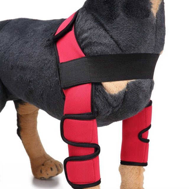 Soporte Ortopédico de Neopreno CarePaws™ Para Perros Rodillera y Codera Protectora