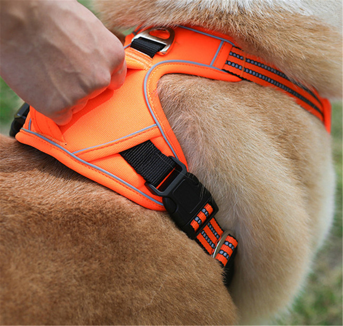 Arnés Impermeable Anti-Tirones ProFit™ Mascotas  Con Asa de Seguridad y Bandas Reflectantes