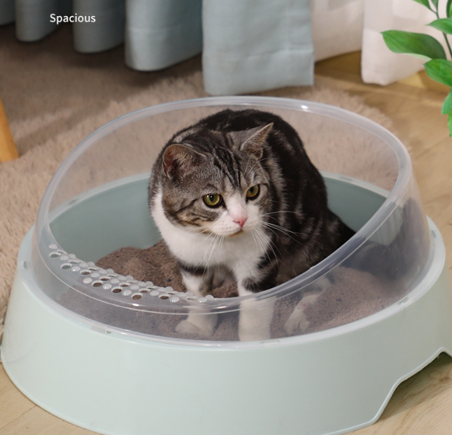 🐱Arenero Inteligente PawsClean 🐾