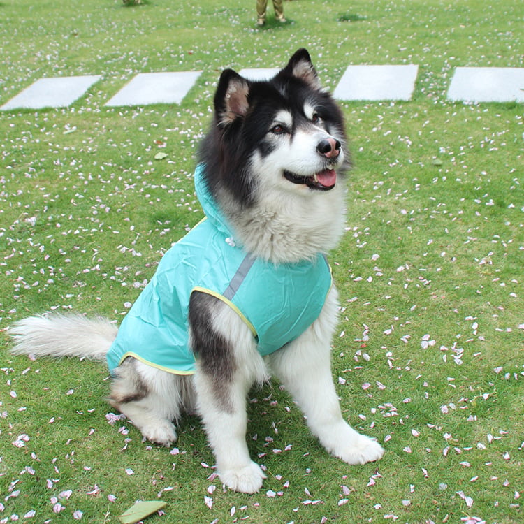 🐕 CHUBAQUERO REFLECTANTE TODOTERRENO STORMGUARD™ 🐕