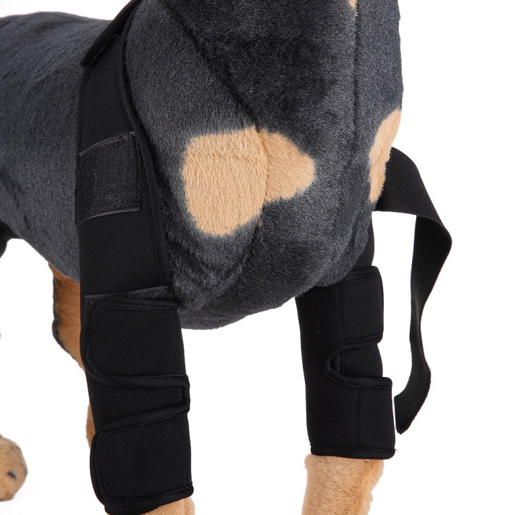 Soporte Ortopédico de Neopreno CarePaws™ Para Perros Rodillera y Codera Protectora