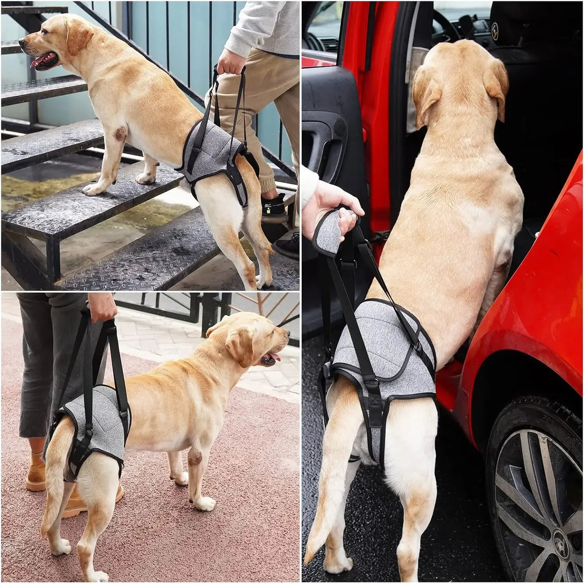 Para el Arnés de Soporte y Rehabilitación para Patas Traseras