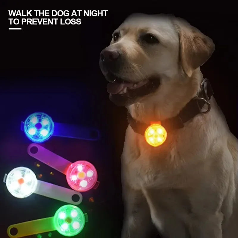 Collar LED Recargable Para Mascotas Anti-Pérdida e Impermeable