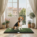 PawHut Inodoro para Perros con Césped Artificial 76x50,5 cm Bandeja Sanitaria para Perros para Entrenamiento con Drenaje Verde