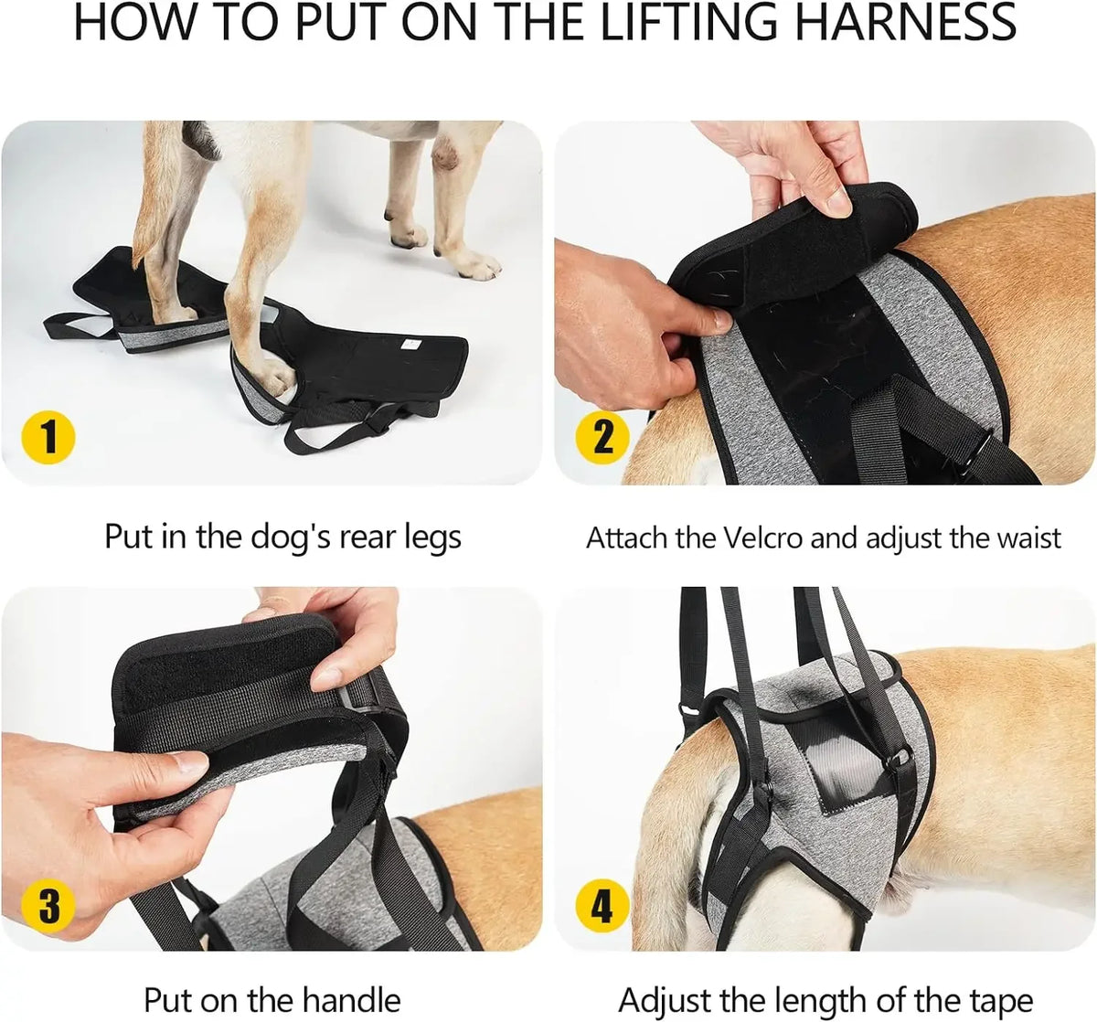 Para el Arnés de Soporte y Rehabilitación para Patas Traseras