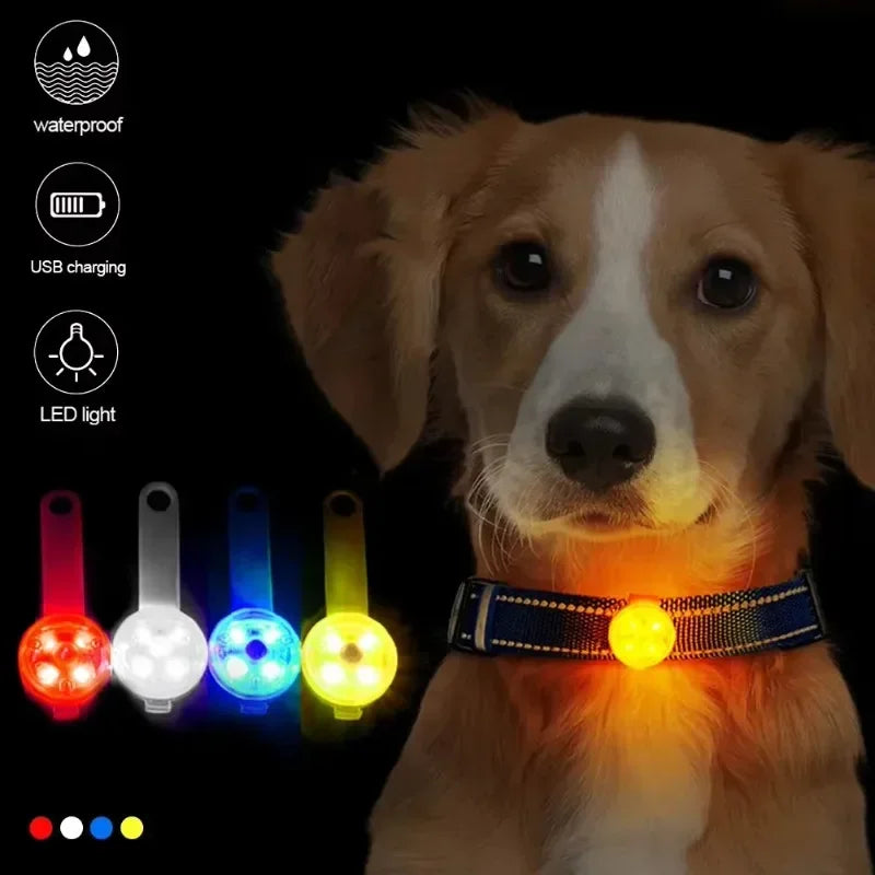 Collar LED Recargable Para Mascotas Anti-Pérdida e Impermeable