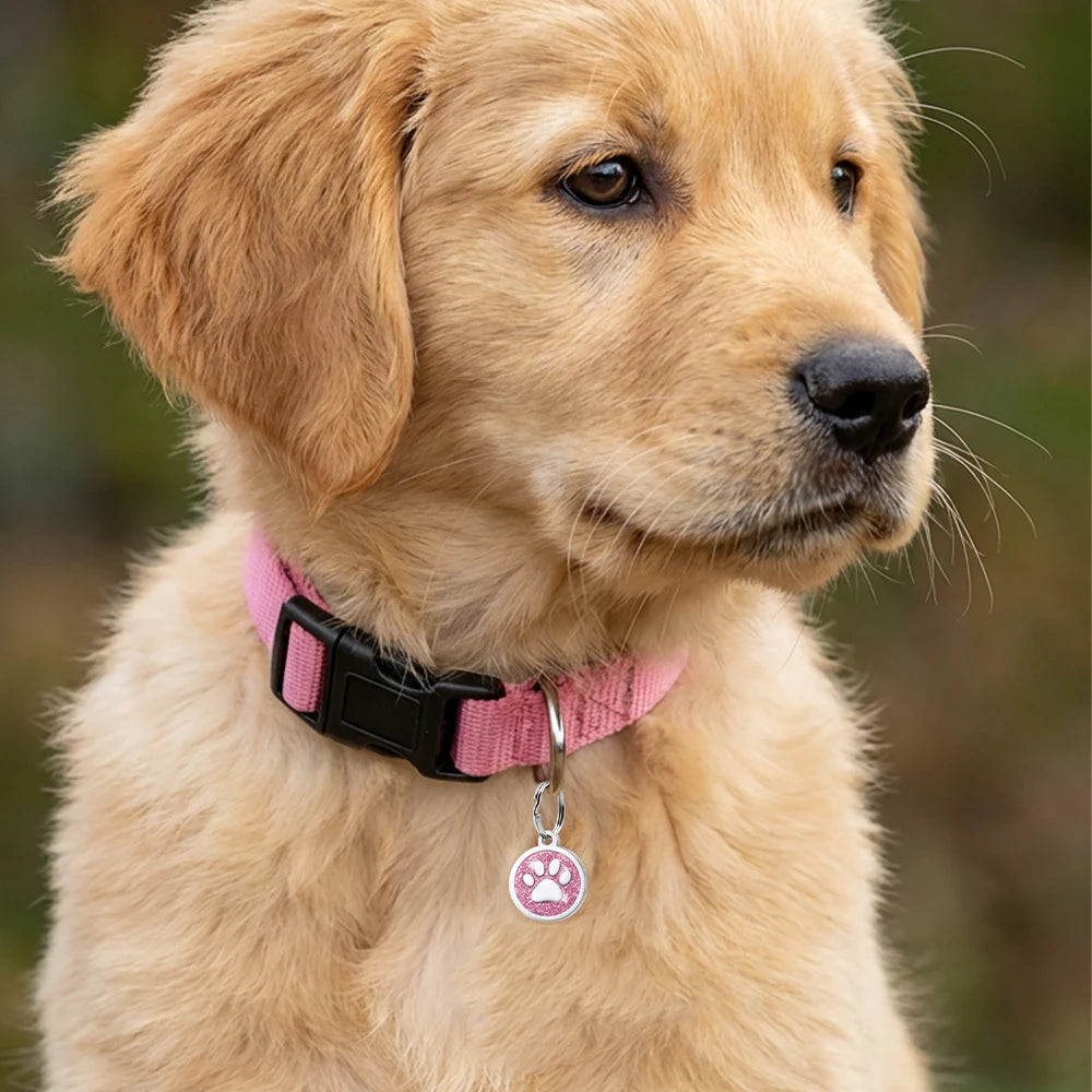 Placa Personalizada Brillante PawsID™ para Perros y Gatos - Grabado Gratis y Antipérdida