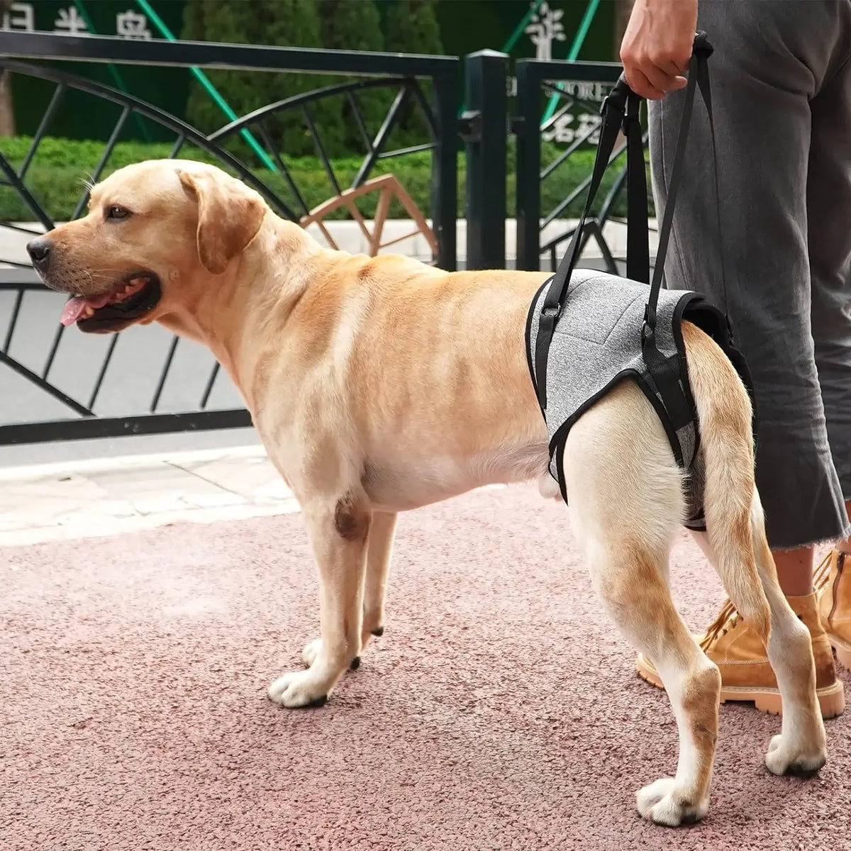 Para el Arnés de Soporte y Rehabilitación para Patas Traseras