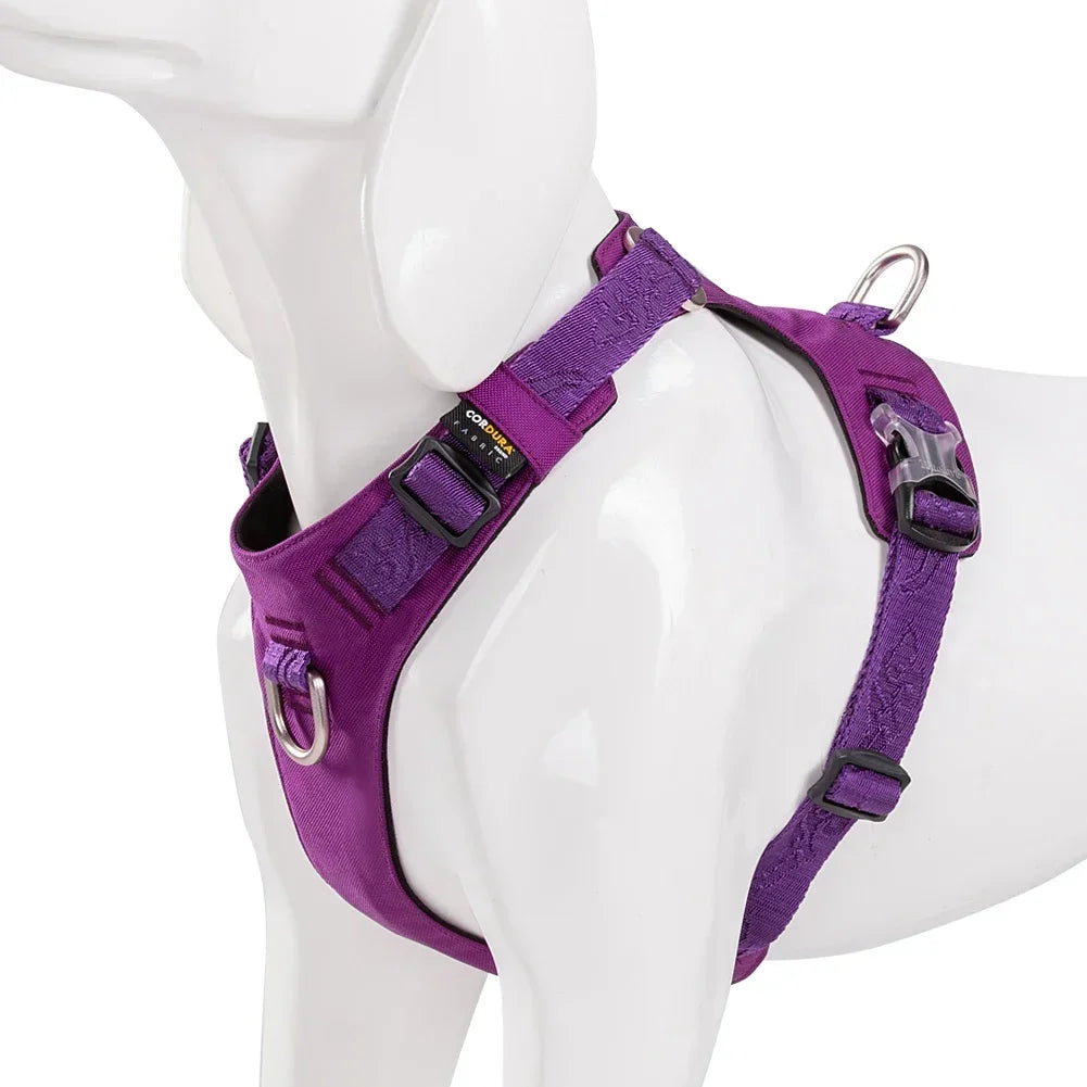 Arnés de Seguridad Premium Truelove Ultra-Light (Impermeable y Reflectante)