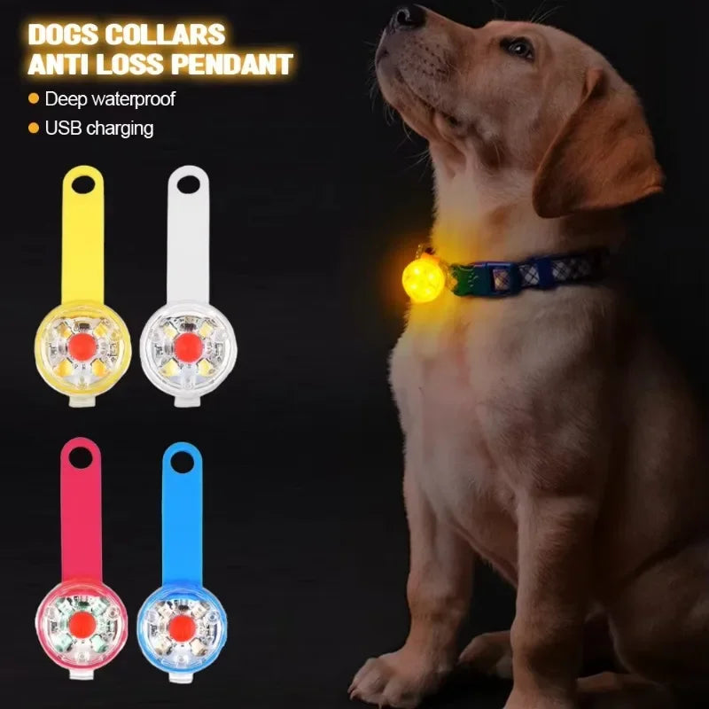 Collar LED Recargable Para Mascotas Anti-Pérdida e Impermeable