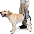Para el Arnés de Soporte y Rehabilitación para Patas Traseras