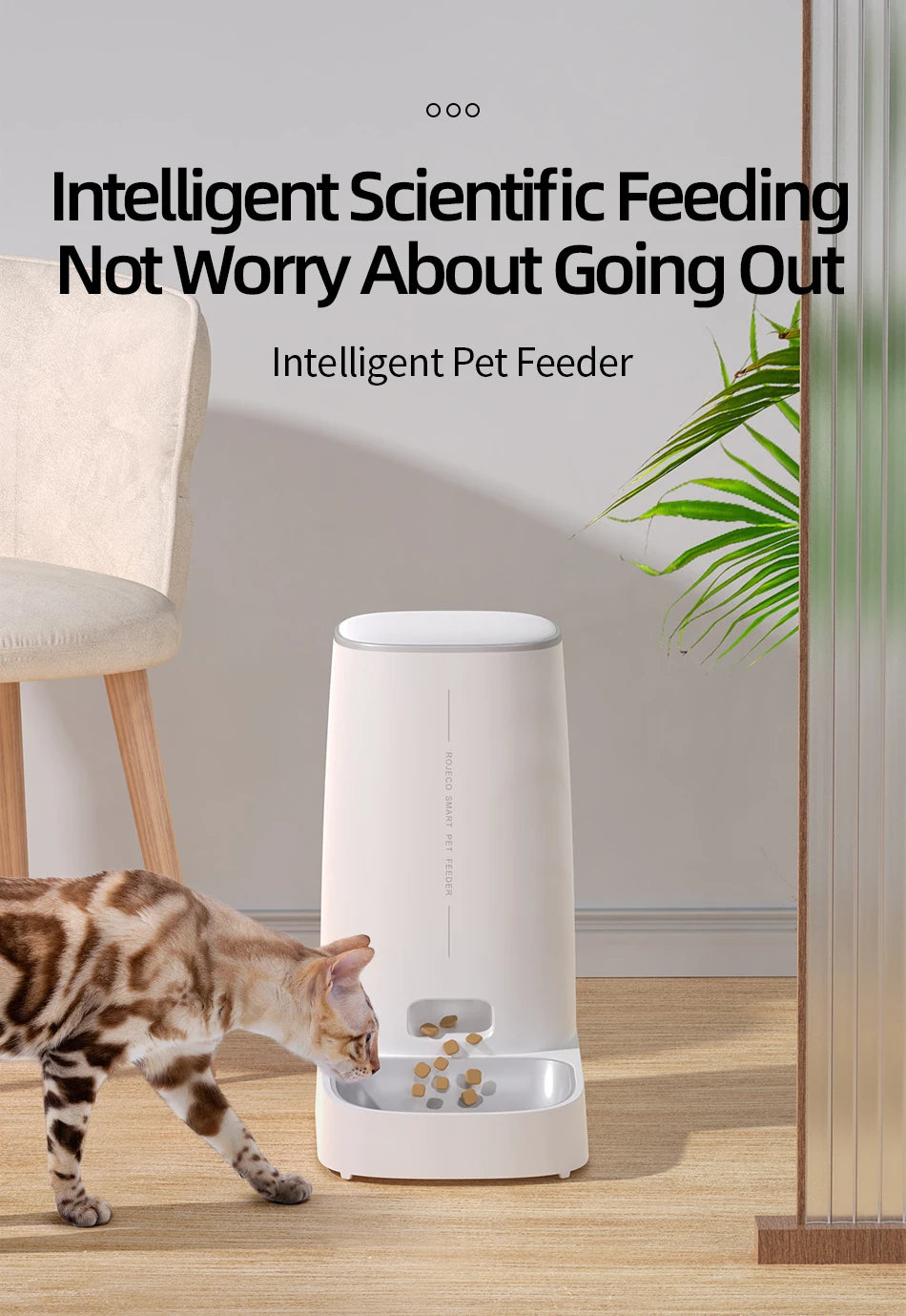 Comedero automático  SmartFeeder™ para gatos,Control remoto, WiFi,