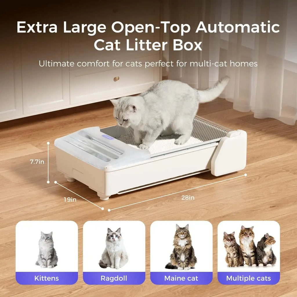 Arenero Inteligente PawsClean™ PRO - Autolimpiable por App