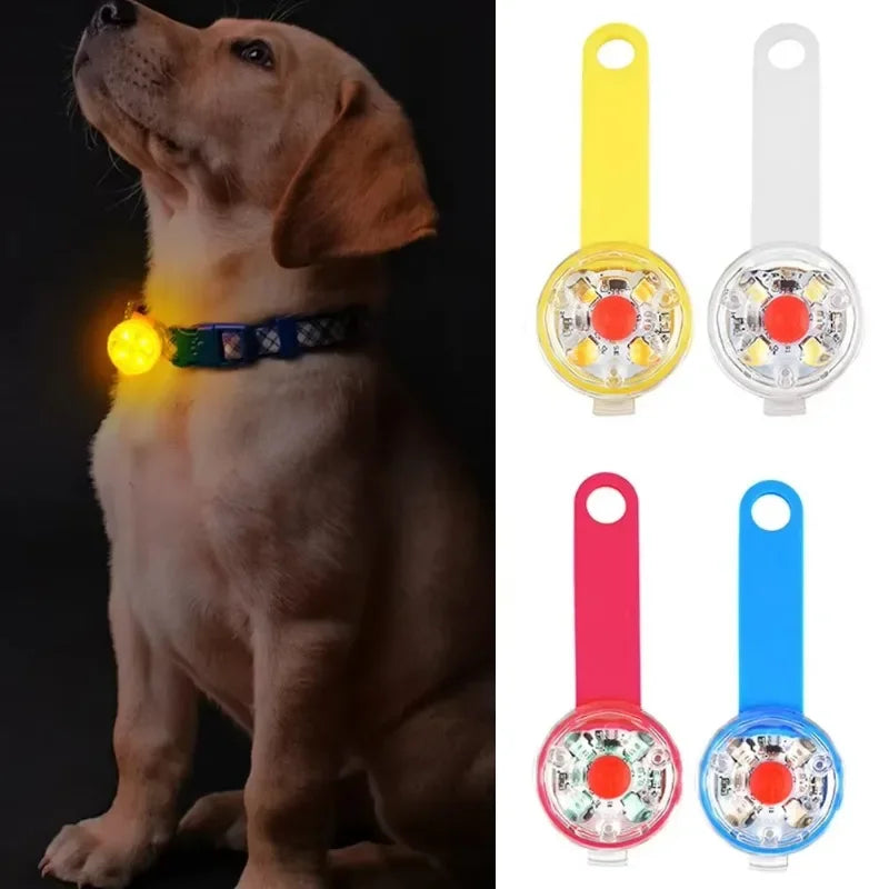 Collar LED Recargable Para Mascotas Anti-Pérdida e Impermeable