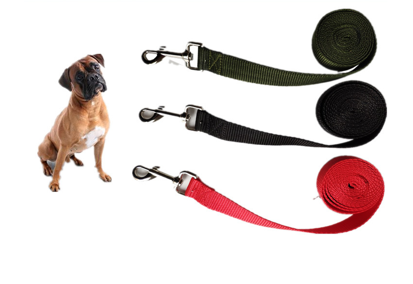 🐕 CORREA DE RASTREO PROFESIONAL ROPEFLEX™ 🐕