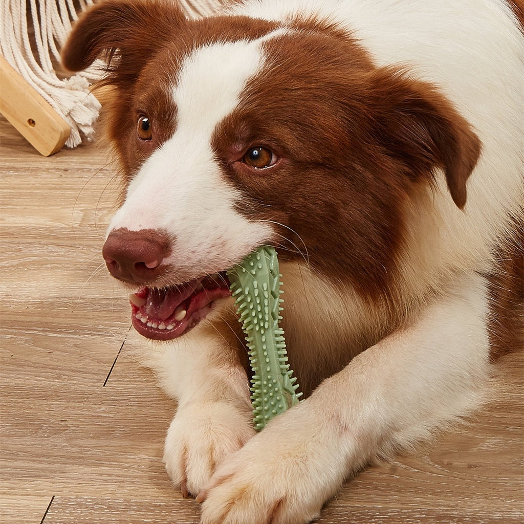 Cepillo de dientes para perros, juguetes masticables para limpiar los dientes y divertirse.