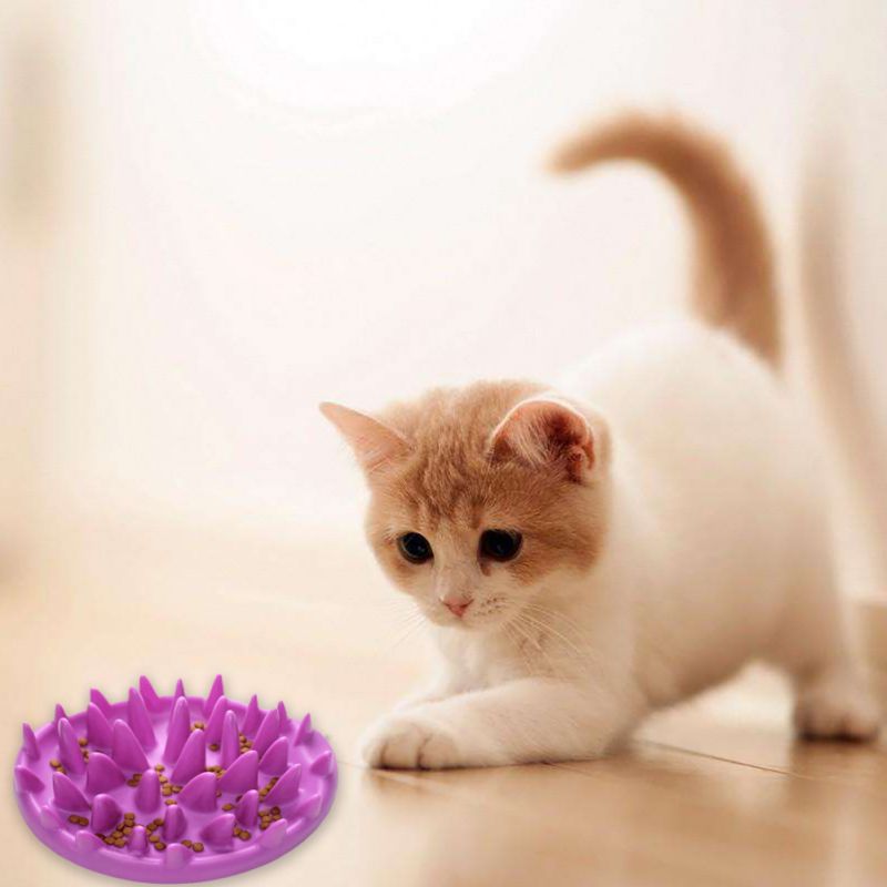 🐶🐱✨🐾 PLATO-ALFOMBRILLA DE SILICONA ANTIESTRÉS SLOWFEAST™ 🐶🐱✨🐾