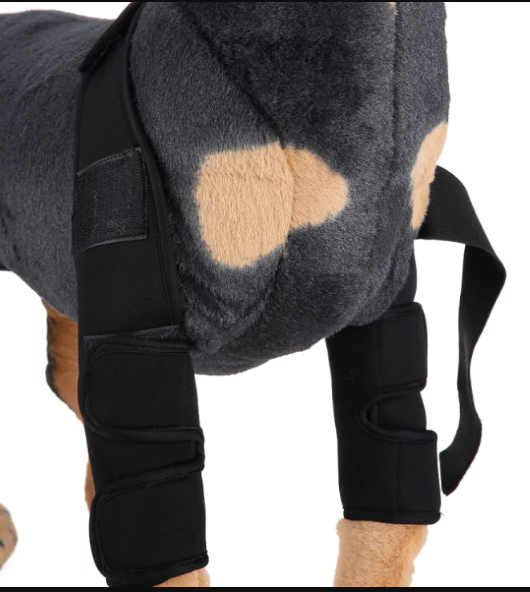 Soporte Ortopédico de Neopreno CarePaws™ Para Perros Rodillera y Codera Protectora