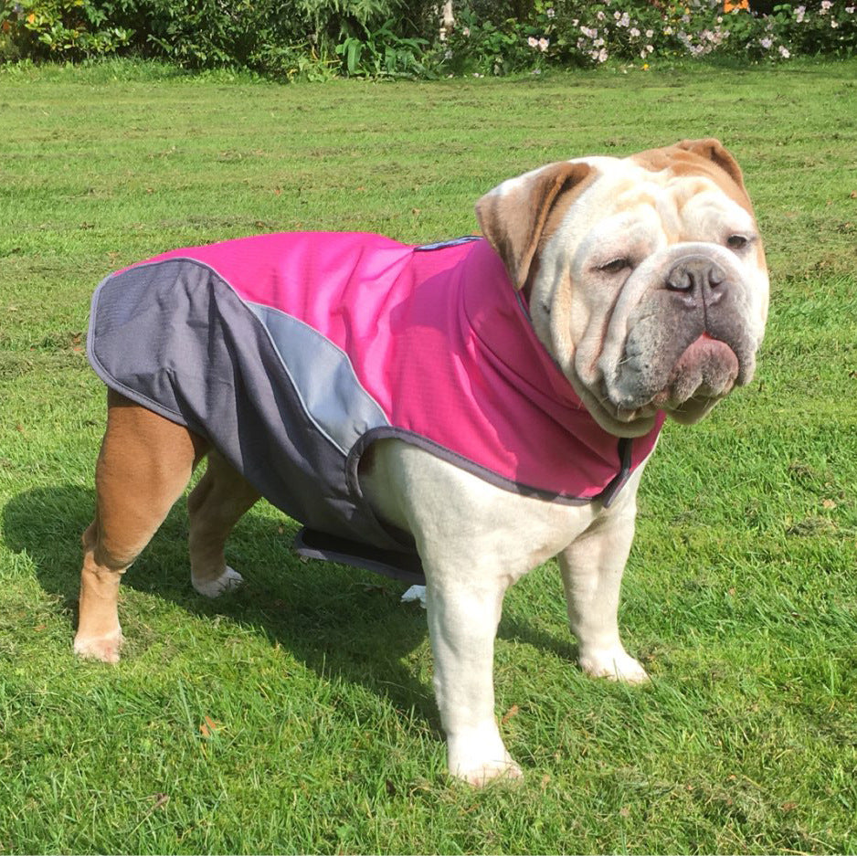 Chaqueta Térmica Impermeable Para Mascotas StormShield™ - Abrigo Aislante y Reflectante