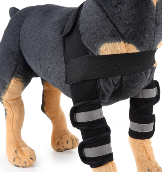 Soporte Ortopédico de Neopreno CarePaws™ Para Perros Rodillera y Codera Protectora