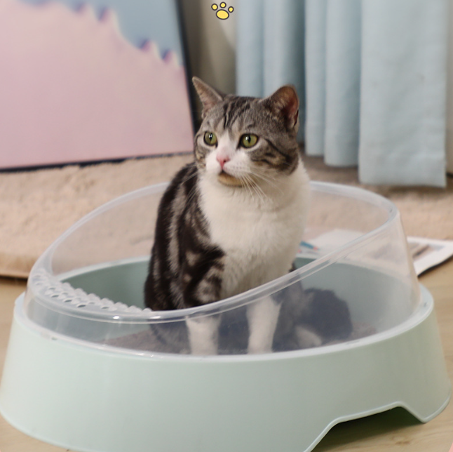 🐱Arenero Inteligente PawsClean 🐾