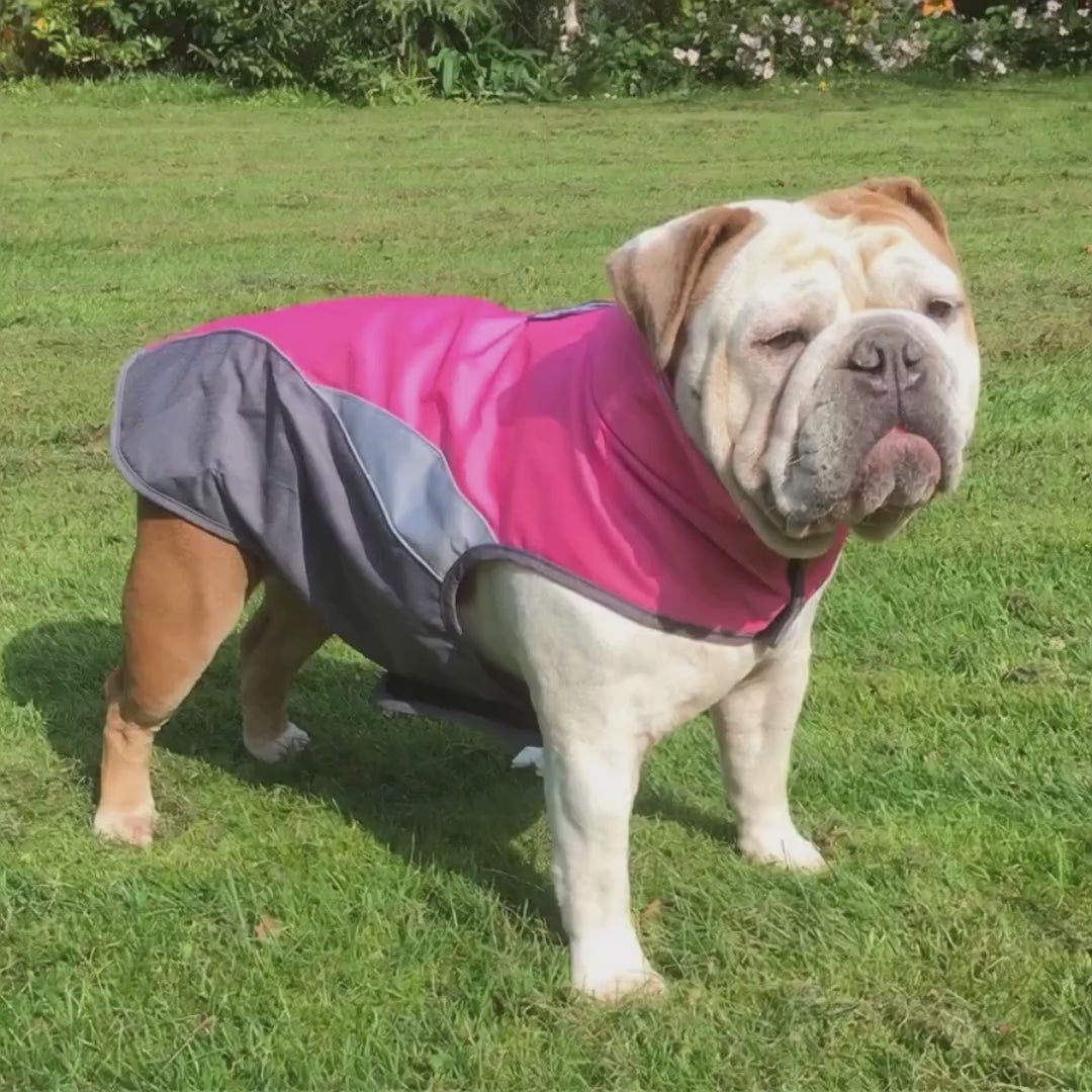 Chaqueta Térmica Impermeable Para Mascotas StormShield™ - Abrigo Aislante y Reflectante